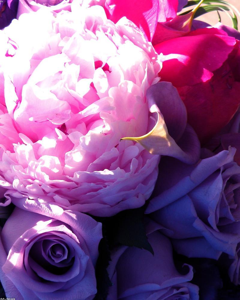 Bouquet Lèvre de rose